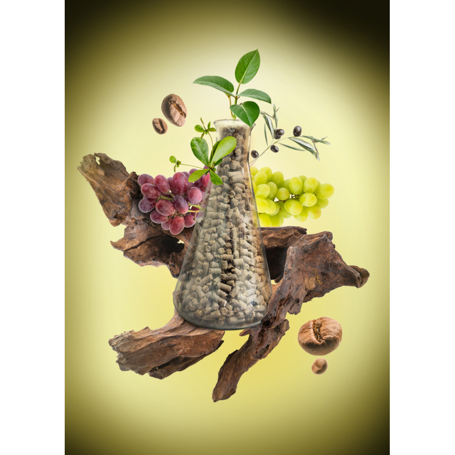 BIOGERM 3-2-2 Organic Fertilizer + CaO MgO | Germiflor