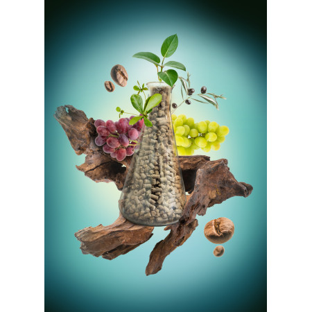 AB'FLOR 4-8-10 S : engrais organo-minéral pro maraîchage & potager UAB
