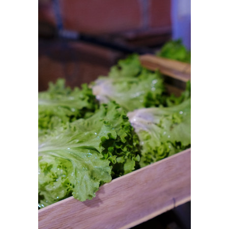 POTAGER - Engrais organo-minéral bio pour Potager | Marcel le Jardinier