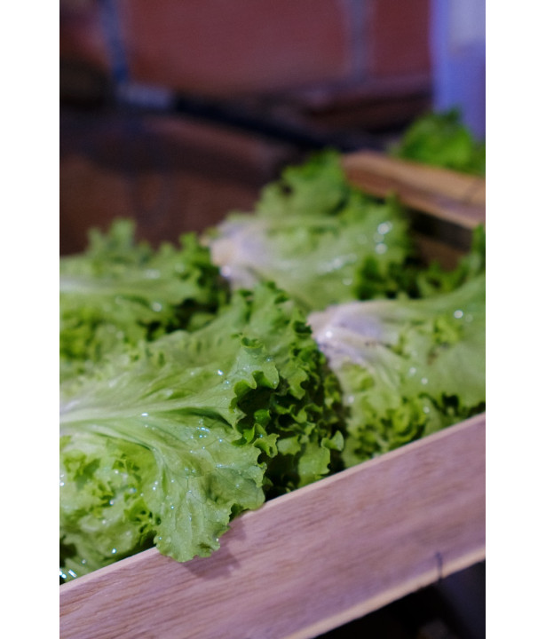 POTAGER - Engrais organo-minéral bio pour Potager | Marcel le Jardinier