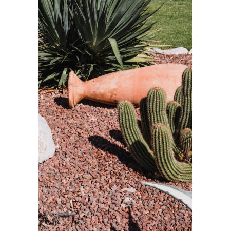 ORVEGA 6 - Engrais organo-minéral VEGAN jardin | Marcel le Jardinier