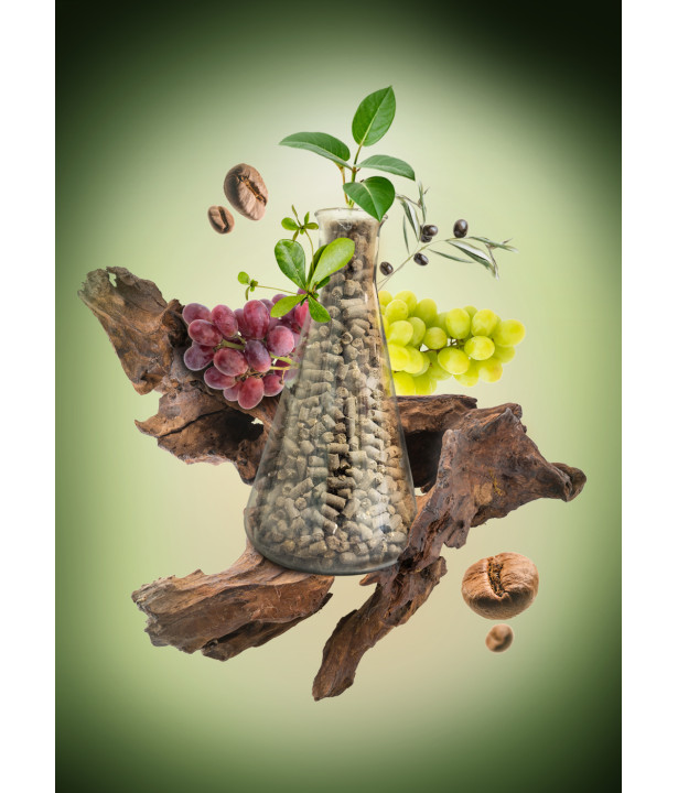AB'FLOR® 6-4-6 V vegan, engrais organo-minéral | Germiflor AB'FLOR® 6-4-6 V vegan, engrais organo-minéral | Germiflor