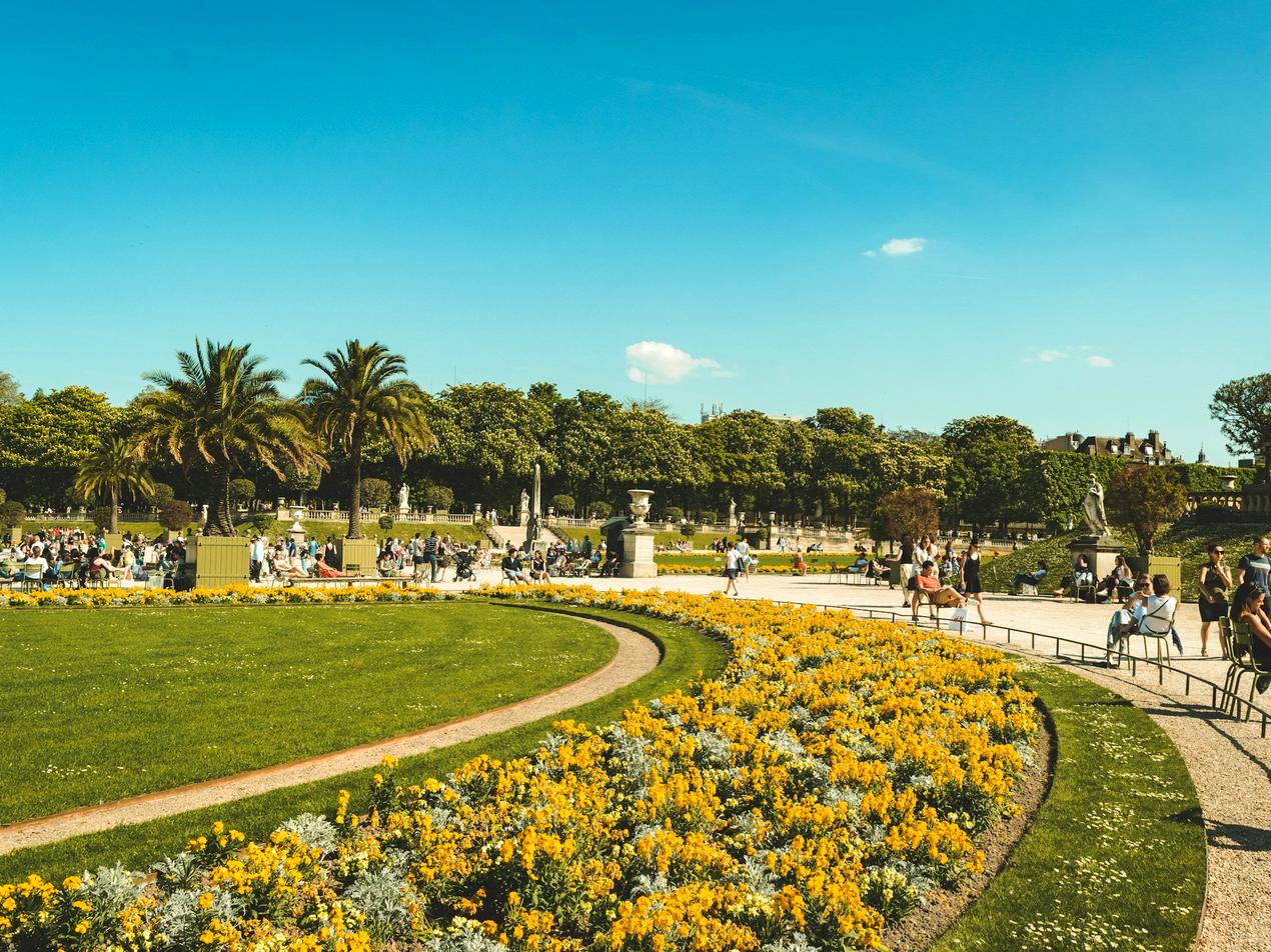 Pelouse d’un parc public bordée de massifs fleuris jaunes