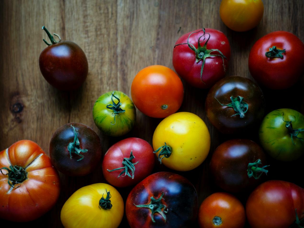 Tomates anciennes de toutes les couleurs après la récolte