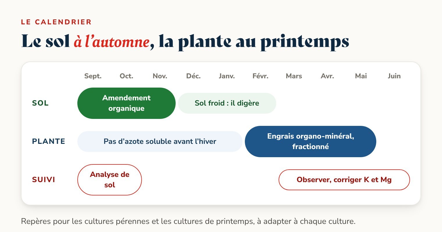 Calendrier de fertilisation : amendement organique de septembre à novembre, engrais organo-minéral de février à mai, analyse de sol en automne et observation au printemps