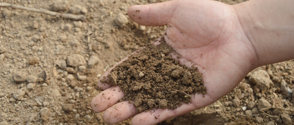What exactly is soil ?