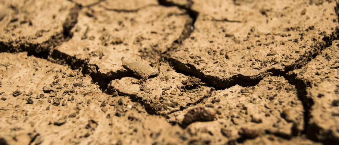 La dégradation des sols agricoles : un enjeu mondial