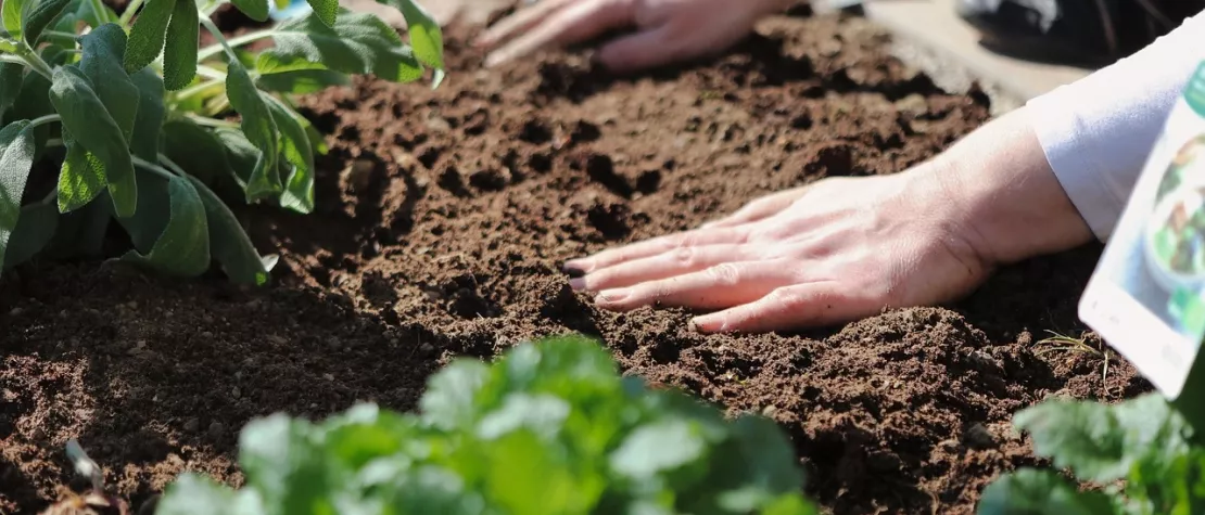 Engrais organique ou minéral : les conseils de Marcel pour bien choisir