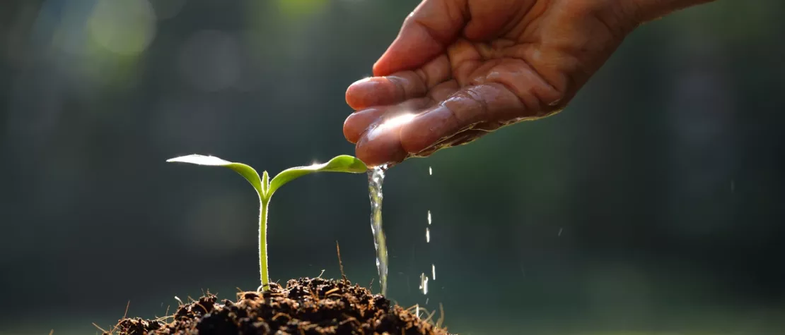Fertilisation et ressource en eau : un lien vital pour l’agriculture de demain