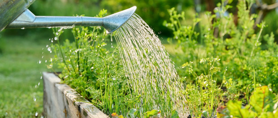 Summer in the garden with Marcel le Jardinier®: let nature thank you !