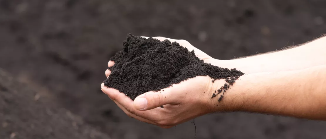 Pourquoi avons-nous choisi un compost 100 % végétal ?