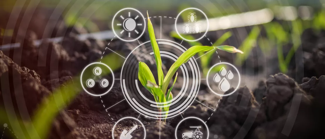 La fertilisation de précision : l’innovation au service de l’agriculture de demain