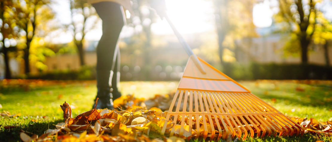 À l’automne, préparez votre jardin avec Marcel le Jardinier® !