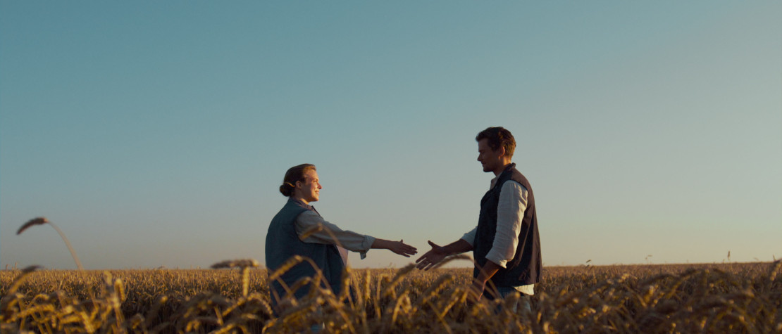 Germiflor is hiring a Technical Sales Representative – South-West France (Permanent Contract)